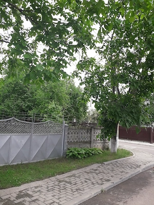 Vând grădină în Tg.Frumos