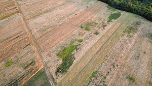 3700 mp Budesti-Piscul Pietrei - imagine 10