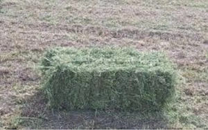 baloti de lucernă