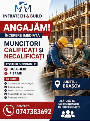 Angajam dulgheri si fierari si muncitori necalificati
