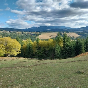 2 Parcele teren de vânzare! Piatra Fântânele BN !  - imagine 4