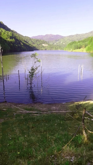 Teren de 5 hectare la Lacul Siriu - imagine 4