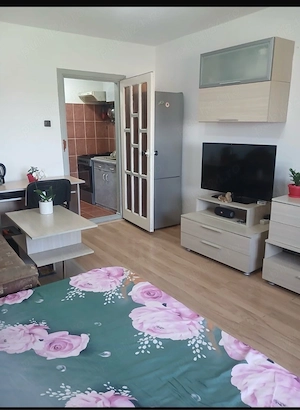 proprietari vand   garsoniera - imagine 4