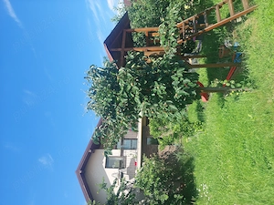 Casa P+1, Păulești Prahova 