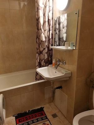 inchiriere apartament 3 camere str. aurel vlaicu - imagine 5