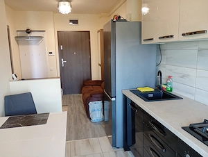 PF Dau in chirie apartament de 40 mp in Park Lake 3, inclusiv parcare subterana la 600 euro luna - imagine 6