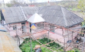 CASĂ cu teren 1419 mp BUHUȘI, judetul BACĂU - imagine 10