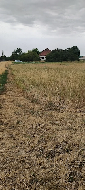 Teren extravilan cu o constructie agricola 