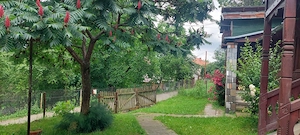 Casa gospodarului, înconjurată de natură, Comarnic - imagine 3