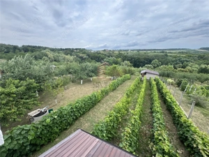 casa de vanzare P+M cu teren 3300 mp, Hidiselu de sus - imagine 9