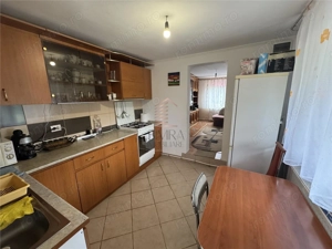 casa de vanzare P+M cu teren 3300 mp, Hidiselu de sus - imagine 4