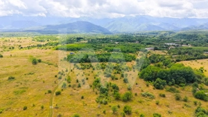 Teren extravilan de vânzare - Valea Avrigului, Sibiu - imagine 12