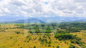 Teren extravilan de vânzare - Valea Avrigului, Sibiu - imagine 2