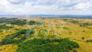 Teren extravilan de vânzare - Valea Avrigului, Sibiu - imagine 16