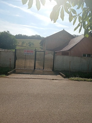 casa cu etaj și grădină  - imagine 3