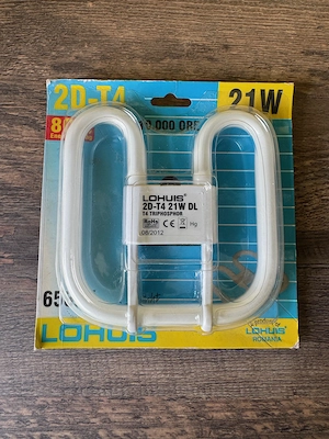 Bec Lohuis 2D-T4 21W