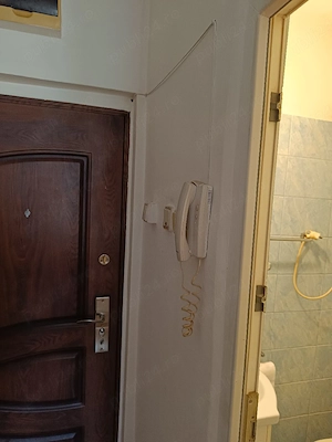 Proprietar 120 euro Iosefin