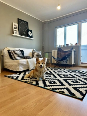Închiriere Apartament cu 2 camere, Pet Friendly, 2 AC, 7 min metrou Iancului 