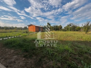 Casa individuala cu 5 camere spre vanzare, Padureni, Jud Timis - imagine 8