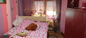 Apartament 3 camere, confort 1, cu garaj sub bloc si beci! - imagine 5