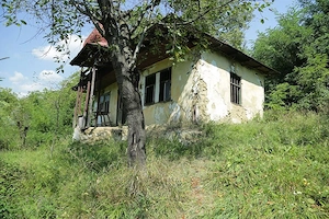 Teren de vânzare 
