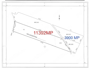 1,5 Ha Teren Industrial la Sarand, jud. Bihor - imagine 2