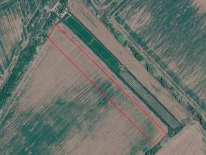 Teren 20.000 mp Cornetu - Tarla 4 | Investiție, Oportunitate lângă Autostrada A0 - imagine 4