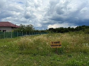 Teren Intravilan STR.Egalității Mioveni Județul Argeș Parcele 1100mp - imagine 9