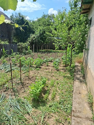 Casă + anexe de vanzare in Galicea - imagine 3