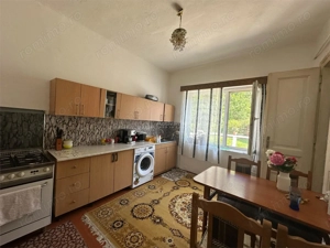 Bocsa Montana, Casa mare la strada principala - imagine 16