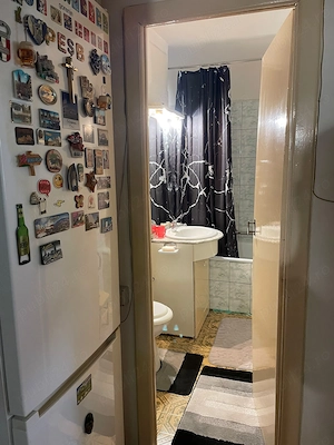 Apartament 3 camere Lipovei in fata cu doua bai parter centrala proprie - imagine 14
