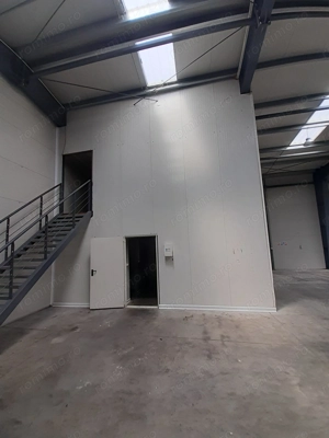 Hale de 500mp si 600mp in zona Progresul, Jilava - imagine 4