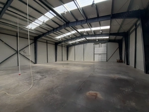 Hale de 500mp si 600mp in zona Progresul, Jilava - imagine 5