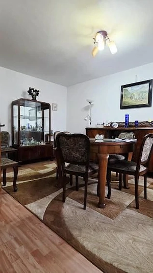 Constantin Brâncuși Drumul Taberei