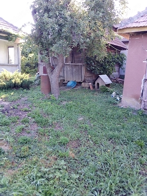 Vand casa in com Bogata - imagine 3