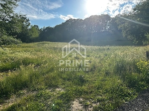 Teren de vanzare | 12 259mp |