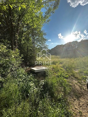 Teren de vanzare | 12 259mp | - imagine 2