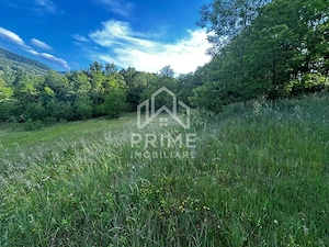 Teren de vanzare | 12 259mp | - imagine 5