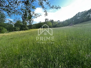 Teren de vanzare | 12 259mp | - imagine 7