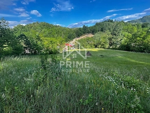 Teren de vanzare | 12 259mp | - imagine 4
