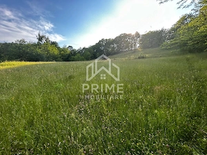 Teren de vanzare | 12 259mp | - imagine 3