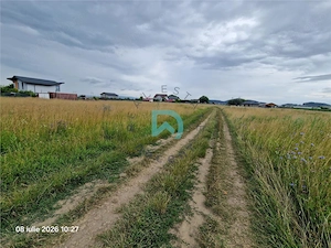 Teren intravilan, 600 mp, Sanpetru, Brasov