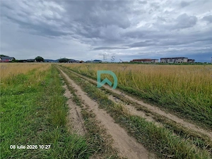 Teren intravilan, 600 mp, Sanpetru, Brasov