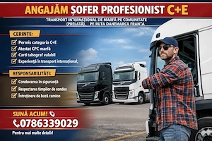 angajam sofer profesionist C+E