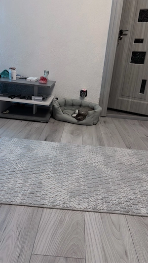 vand apartament - imagine 4