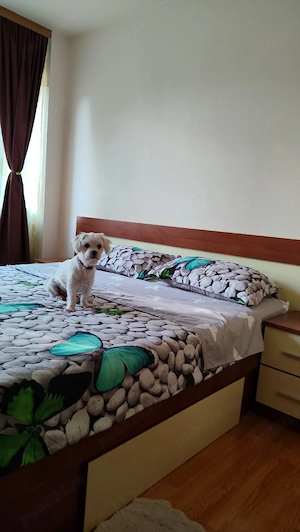 Apartament 2 camere, zona nord  - imagine 4