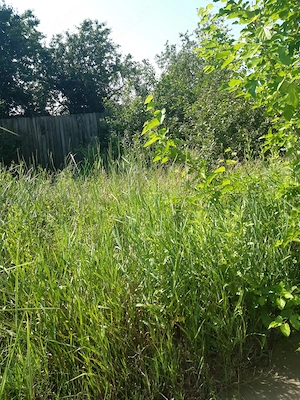 Vând două loturi de teren intravilan in comuna Buturugeni, județul Giurgiu, zona peco