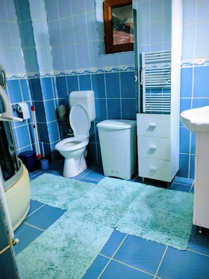 imobiliare case de vinzare - imagine 10