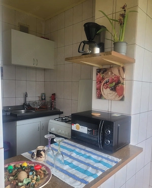 Garsonieră, renovată, mobilată și utilată   Tineretului sup. 31 mp, - imagine 4