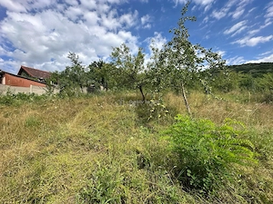 Teren intravilan, 3694 mp., zona Primaria Bocsa, COMISION ZERO% PT. CUMPARATOR. - imagine 2